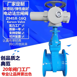 污水專(zhuān)用Z945X-16Q DN100電動(dòng)暗桿彈性座封閘